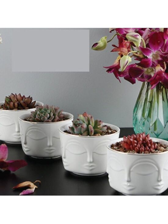 Other - Set of 4 Stunning Face Pot Indoor Planter